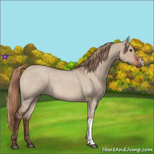 Horse Color:Liver Red Dun Roan and Liver Red Dun Roan