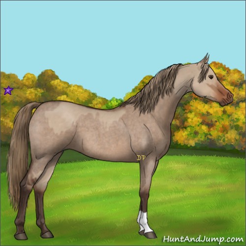 Horse Color:Liver Red Dun Roan and Liver Red Dun Roan