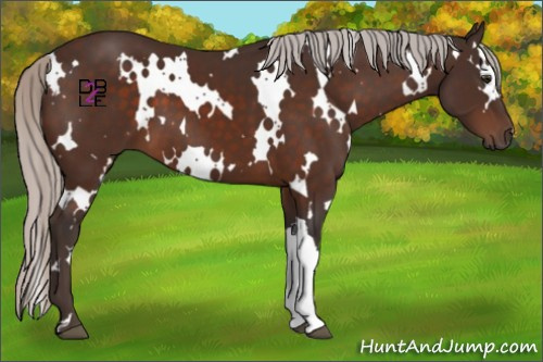 Horse Color:White Spotted Silver Brown 