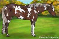 Horse Color:White Spotted Silver Brown 