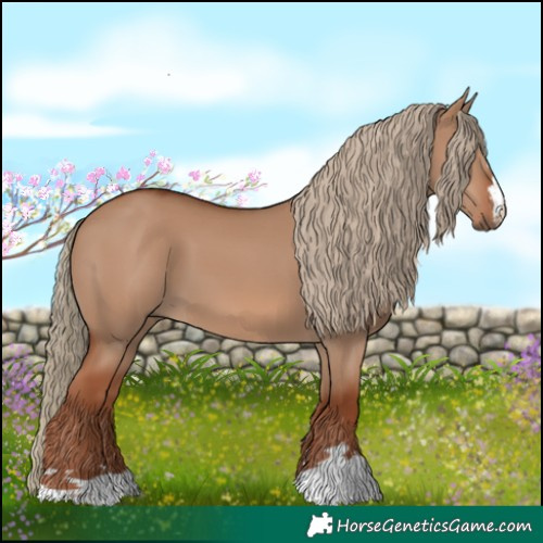 Horse Color:Red Dun 