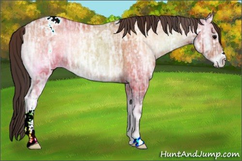 Horse Color:Bay Ice Onyx Varnish Rabicano