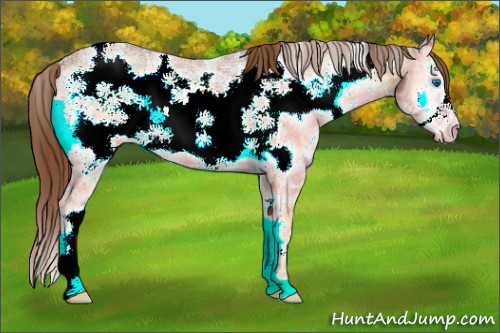 Horse Color:White Spotted Red Onyx Ice Frame 
