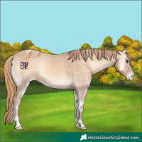 Horse Color:Red Onyx Varnish 