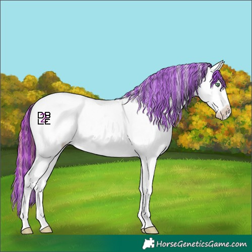 Horse Color:Platinum Painted Amber Cream Champagne Dun Appaloosa 