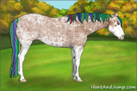 Horse Color:Painted White Spotted Bay Ice Splash