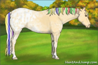 Horse Color:Painted Palomino Ice Appaloosa 