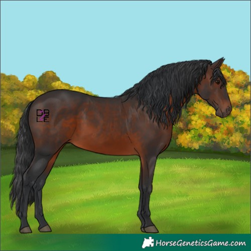 Horse Color:Brown 