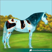 Horse Color:ERROR: UNKNOWN ANOMALY
