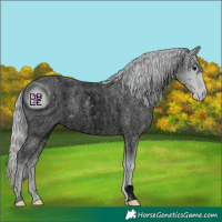 Horse Color:ERROR: UNKNOWN ANOMALY