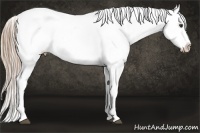 Horse Color:Red Roan Snowflake Varnish Rabicano 