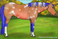 Horse Color:Watercolor White Spotted Brown Tobiano Rabicano 