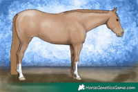 Horse Color:Black Pearl