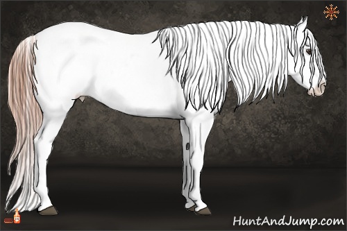 Horse Color:Chestnut Blanket 