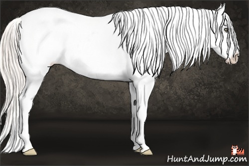 Horse Color:Silver Sable Champagne Varnish 