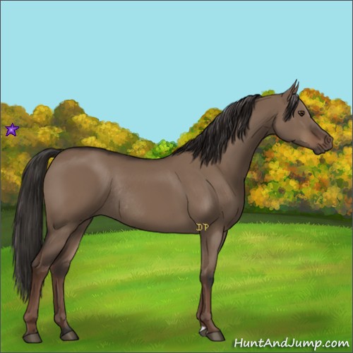 Horse Color:Liver Red Dun Rabicano 