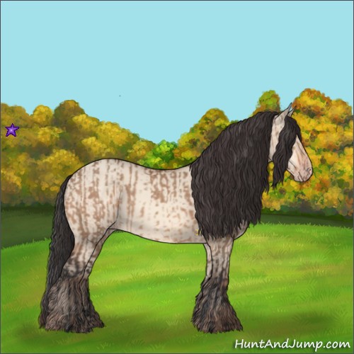 Horse Color:Bay Dun and Amber Champagne Dun