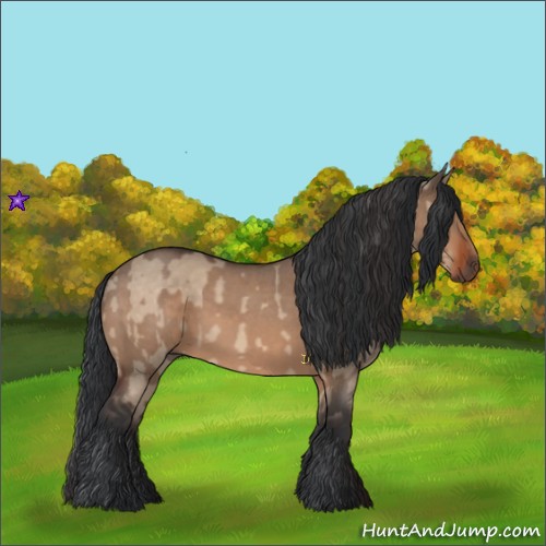 Horse Color:Brown Dun  and Brown Roan Dun 