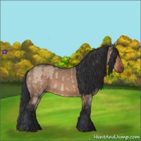 Horse Color:Brown Dun  and Brown Roan Dun 