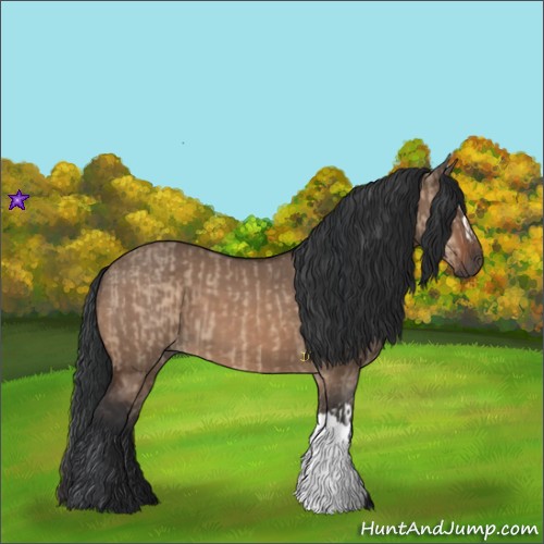 Horse Color:Brown Dun and Brown Dun