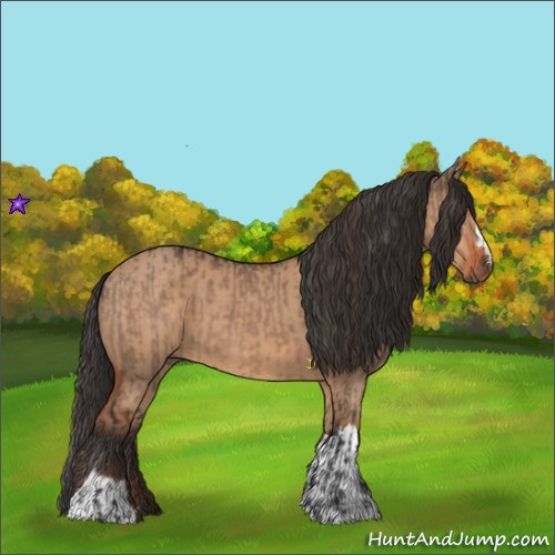 Horse Color:Brown Dun and Bay Dun