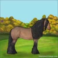 Horse Color:Brown Dun  and Brown Dun Rabicano 