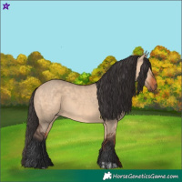 Horse Color:Bay Dun  and Bay Dun 