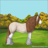 Horse Color:Red Dun Roan Splash Frame Rabicano 