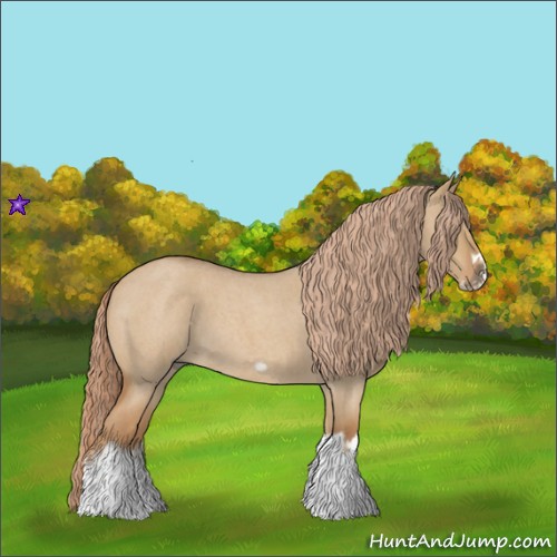 Horse Color:Red Dun Roan Splash Frame Rabicano 