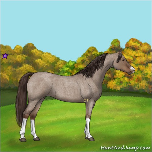 Horse Color:Liver Red Dun Roan Splash Frame Rabicano