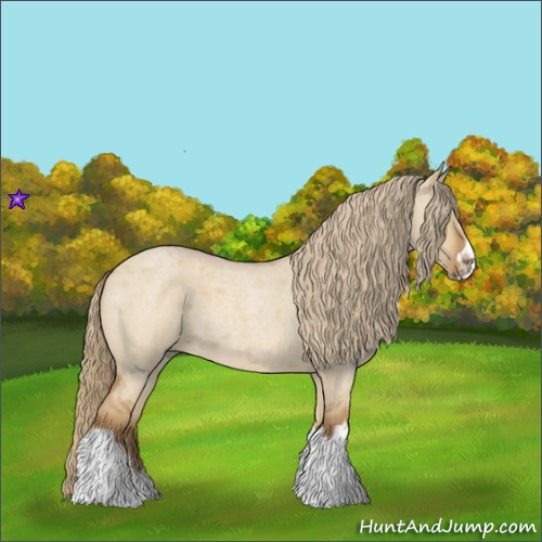 Horse Color:Red Dun Roan Splash Frame Rabicano 