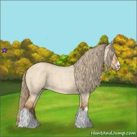 Horse Color:Red Dun Roan Splash Frame Rabicano 