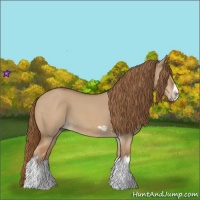 Horse Color:Red Dun Roan Splash Frame Rabicano 