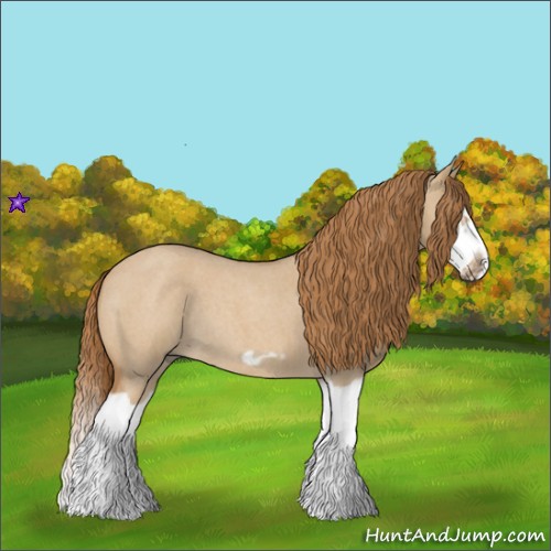 Horse Color:Red Dun Roan Splash Frame Rabicano
