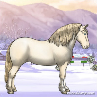 Horse Color:Buckskin Roan Pearl and Buckskin Roan Pearl