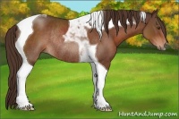 Horse Color:Liver Chestnut Tobiano Rabicano 