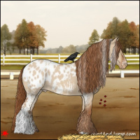 Horse Color:White Spotted Red Dun Roan Blanket 