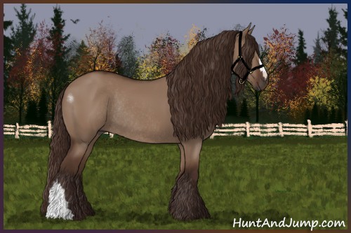 Horse Color:Liver Red Dun Rabicano