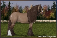 Horse Color:Liver Red Dun Rabicano 