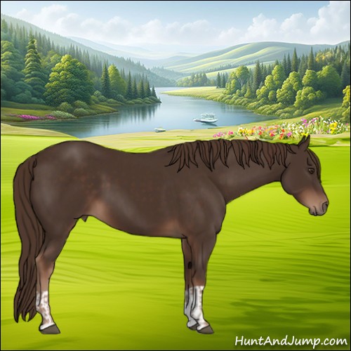 Horse Color:Liver Chestnut  and Liver Chestnut 