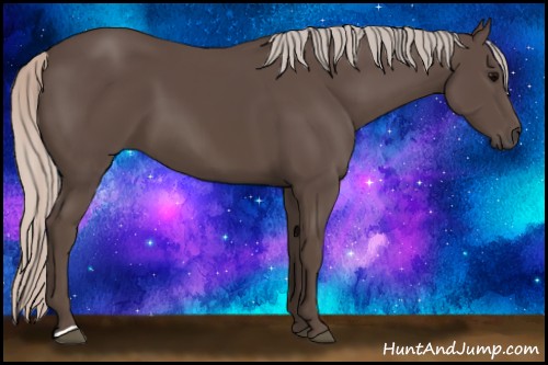 Horse Color:Silver Black 