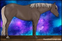 Horse Color:Silver Black 