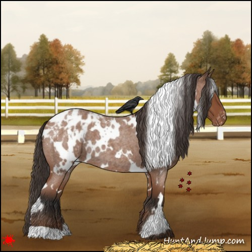 Horse Color:White Spotted Bay Roan Blanket