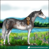 Horse Color:Brown Sabino 