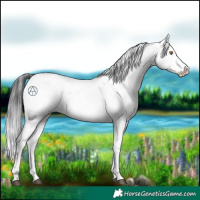 Horse Color:Brown Sabino 