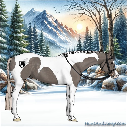 Horse Color:Silver Black Tobiano 