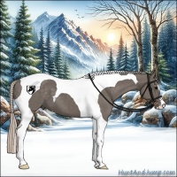 Horse Color:Silver Black Tobiano 