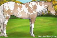 Horse Color:White Spotted Silver Black Pearl 