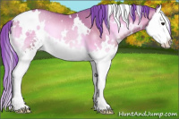 Horse Color:Watercolor White Spotted Brown Pearl Onyx Sabino Splash 