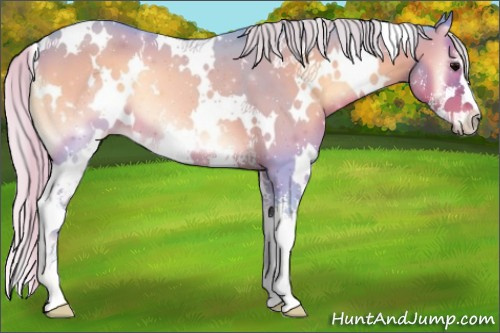 Horse Color:Watercolor White Spotted Silver Blue Onyx Sabino
